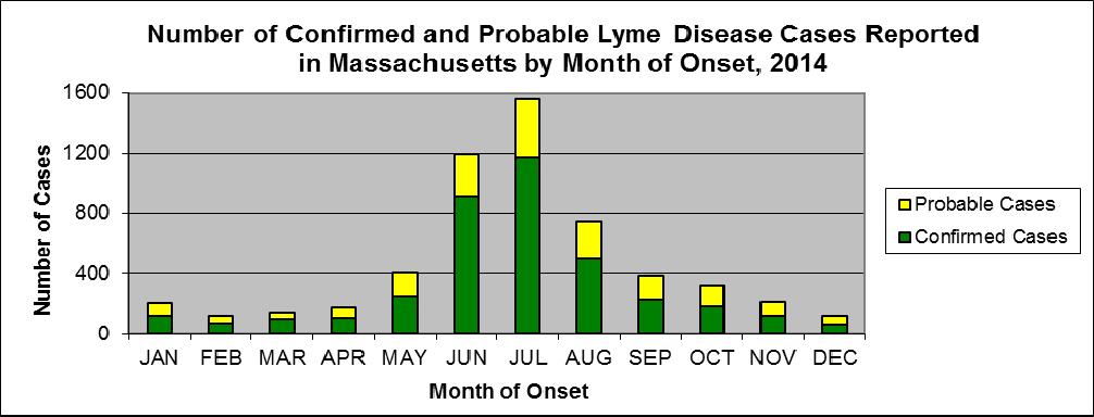 85% of Lyme cases occur during May to August when the nymph stage is active.