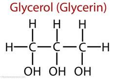 Ticks make glycerol antifreeze Glycerol prevents ice crystal formation in cells Lyme bacteria use