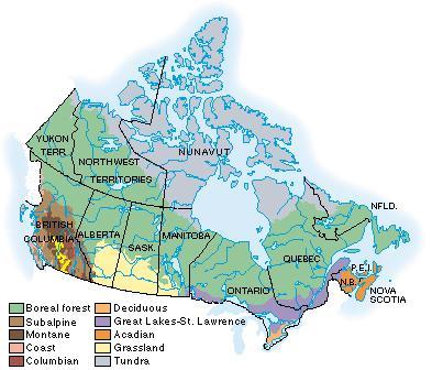 The boreal or "northern" forest is Canada's largest biome or environmental community.