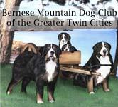 Fall 2008 Volume 5, Issue 4 Special Interest Articles: President s Letter Bernese Mountain Dog Club of the Greater Twin Cities The BMDCGTC was formed in 1988 to help promote the best possible