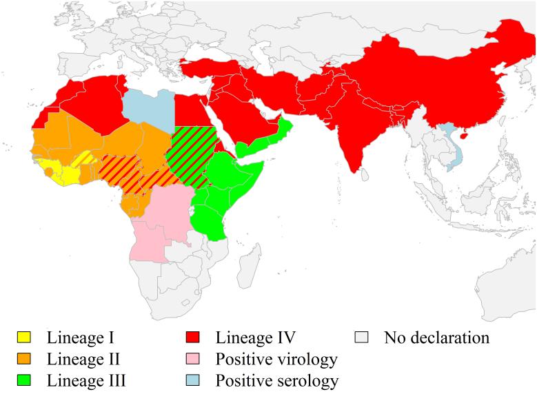 PPR in the Middle East PPRV lineage distribution World