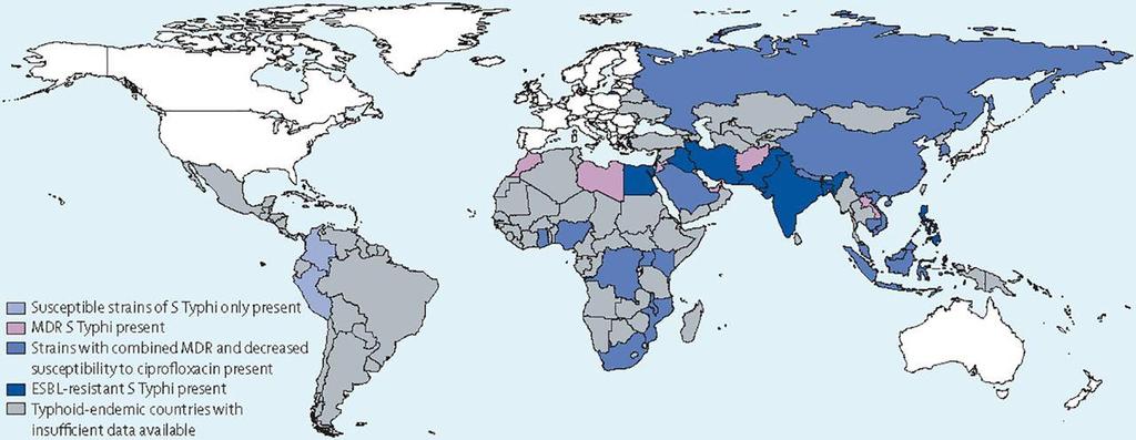 Worldwide distribution of antimicrobial drug resistance in Salmonella
