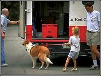 Legal Aspects Pet Evacuation and