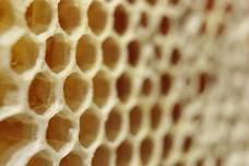 Import requirements for apiculture products for use in apiculture Regulation (EC) No 1774/2002 - Chapter IX Member States must authorise the importation of apiculture products intended for use in
