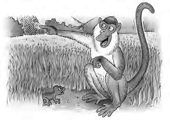 It was Monkey s tail. Have you seen my tail?