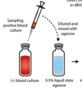 Direct-from-Blood Culture AST testing March 2018 56:3 e01678-17 Develop a standardized AST