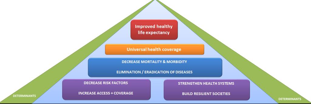 Focus on impact and outcomes Communicable diseases Noncommunicable diseases Promoting health through the