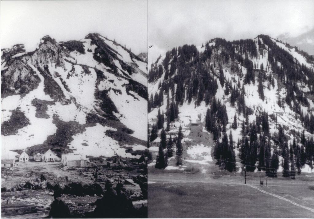 Conservation in Alta Photos: July 3rd, 1885
