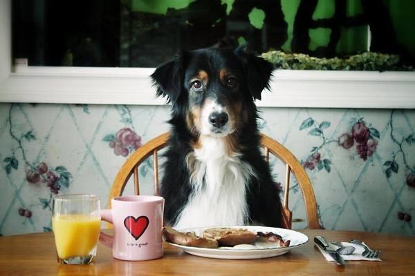 Historically - A dog s breakfast 70 s 80 s Culture and