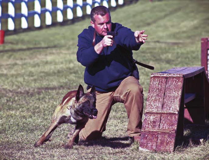 You see, any high driven canine can be cut loose and run a large room or area, but not many can do it with control over and over again. This is paramount during a tactical search.