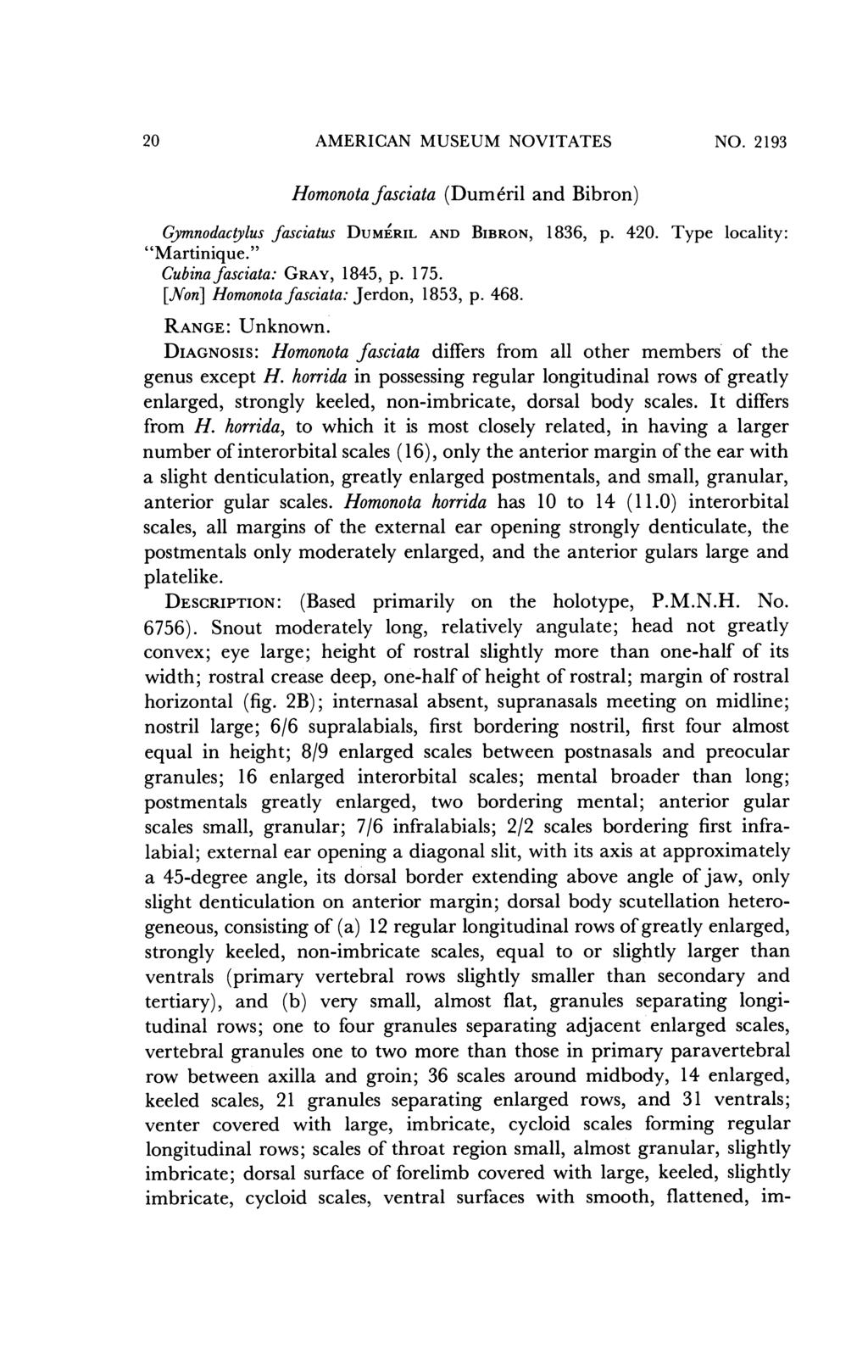 20 AMERICAN MUSEUM NOVITATES NO. 2193 Homonotafasciata (Dumeril and Bibron) Gymnodactylus fasciatus DUMEIRIL AND BIBRON, 1836, p. 420. Type locality: "Martinique." Cubinafasciata: GRAY, 1845, p. 175.