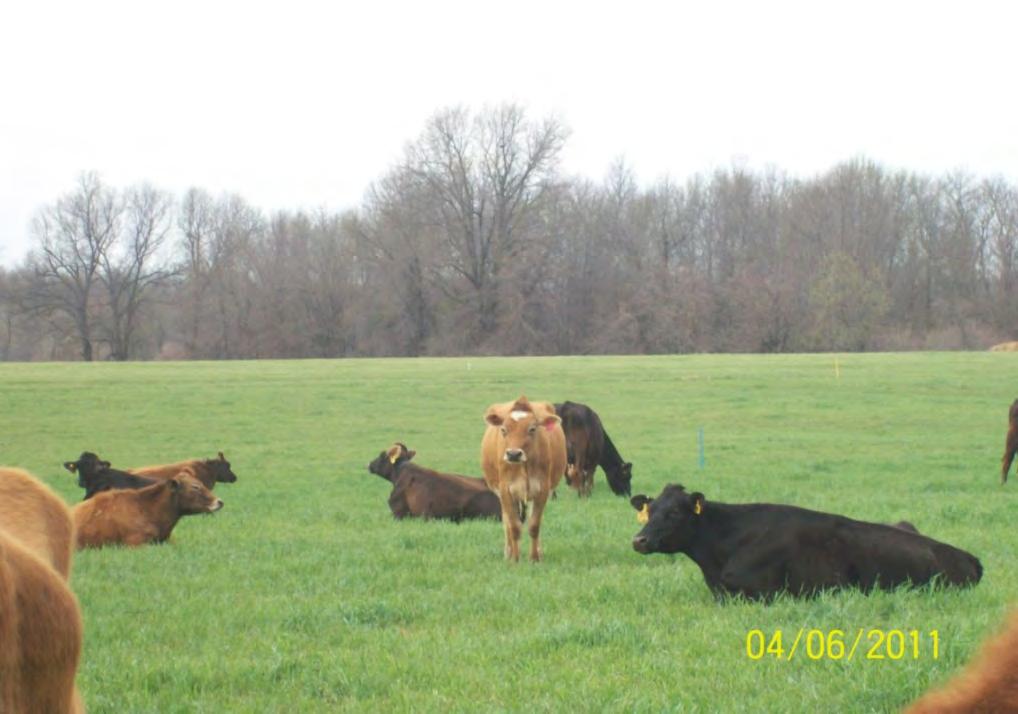 Quality Milk on Pasture Based Dairy Farms Scott E.