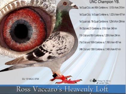 2012 C Series Location Race Results Lofts Birds Club: 12, 13, 14, 15, 16, 20, 21, 23, 26, 27, 28, 29, Combine: 30, 31, 32, 33, 34, 42, 43, 47, 50, 52, 45 728 Club: 3, 4, 5, 6, 10, 11, 12, 14, 30, 31,