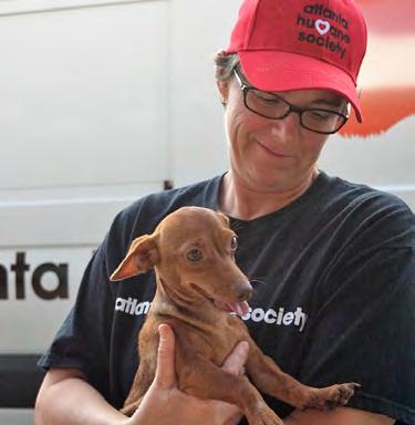 ATLANTA HUMANE SOCIETY TO THE RESCUE Animals Rescued From Life-Threatening Louisiana Flood Areas Atlanta Humane Society (AHS) assisted in the rescue and transport of dozens of dogs and cats from