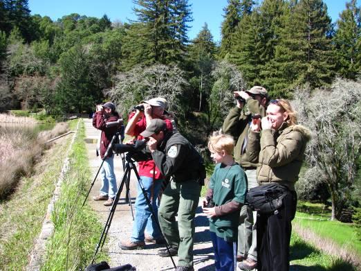 were similar between years, so continuing surveys at Lake Lagunitas appears to be a lower priority. Volunteers in future observer programs should be encouraged to educate visitors to the watershed.