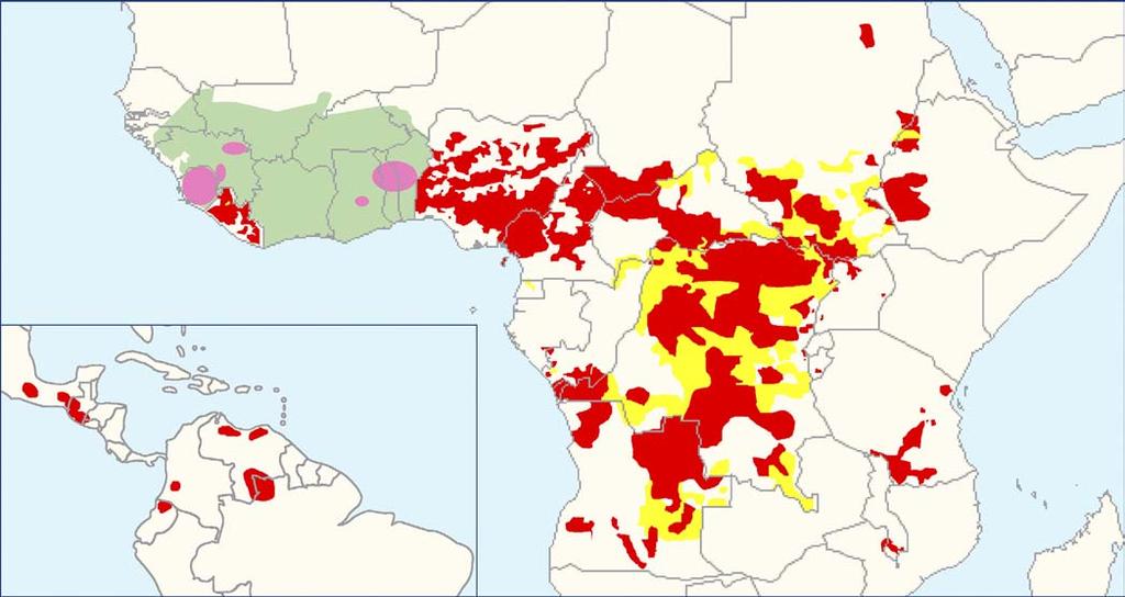 Figure 1. Distribution of onchocerciasis showing current status of global onchocerciasis control Red areas represent areas receiving ivermectin treatment.