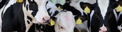 Health Provisions for Animal Production Identification & traceability Address all the elements in