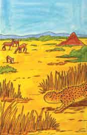 .. In Sahara s dream, a wild Namibian cheetah named