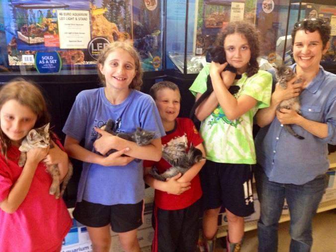 Special Thanks to our Foster Families Fostering pregnant cats has been the best experience ever!