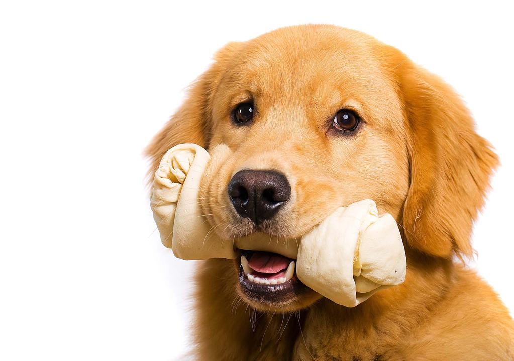 For more information regarding the dangers of rawhide, click here. >> Important resources for ensuring your dogs safety with treats are common review sites like Petmd.