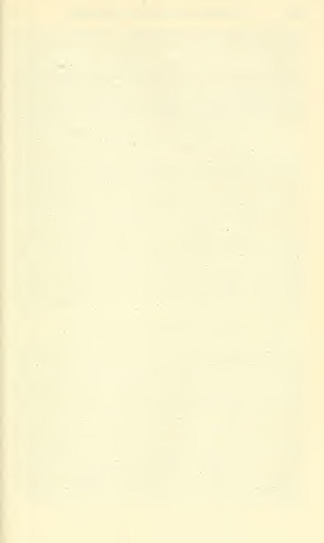 BEES FROM CENTRAL AMERICA COCKERELL 477 22, 1946 (A. Pelen).