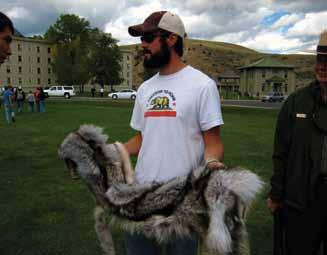 Outreach Yellowstone Wolf Project staff gave 239 formal talks and 81 interviews (see Appendices III and IV). Talks were at both scientific conferences and to general audiences.