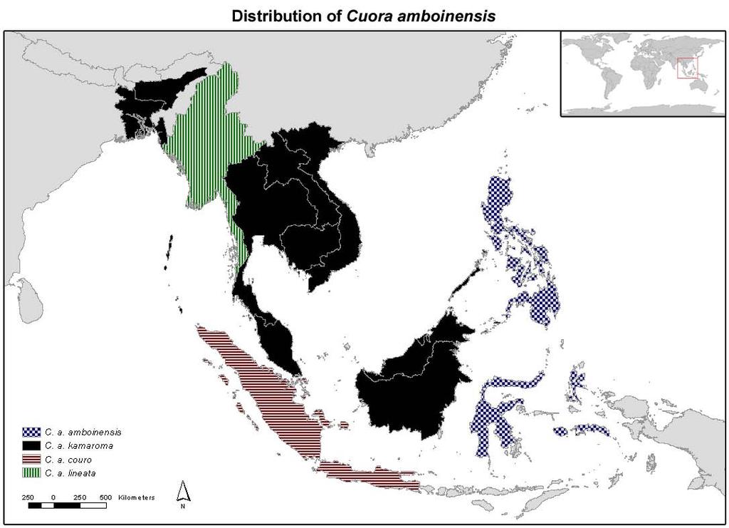 Figure 1: Distribution of Cuora amboinensis. Generally, the species is widely distributed in lowland freshwater habitats from sea level to about 500 m above sea level. 1.3.