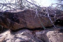 Orientation of rock crevices inhabited by Pancake tortoises a) Horizontally inclined crevice (Ndulani area, Kitui district) b) Diagonally inclined crevice (Namunyak conservancy area, Samburu