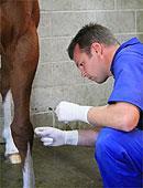 Diagnostic Nerve Blocks These are the most important tools used to identify the location of lameness.