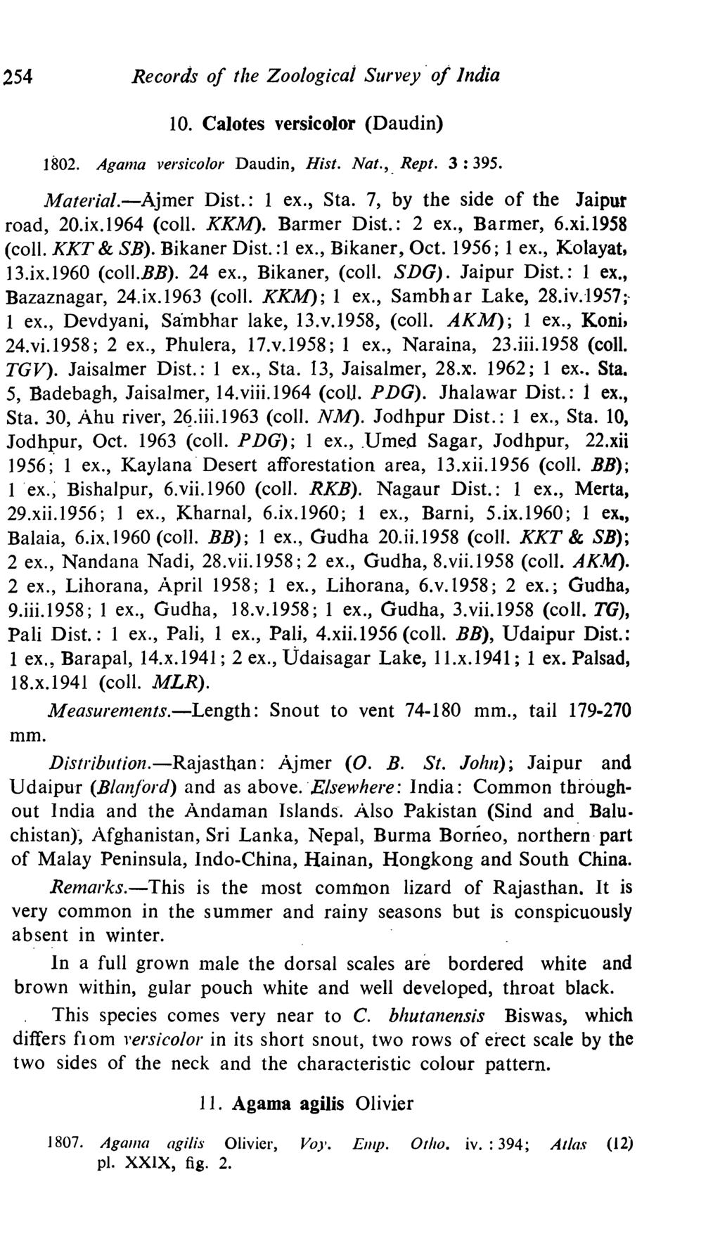 254 Records of the Zoological Survey' o/lndia 10. Calotes versicolor (Daudin) 1802. Aganla versicolor Daudin, Hist. Nat., _ Rept. 3: 395. Material.-Ajmer Dist.: 1 ex., Sta.