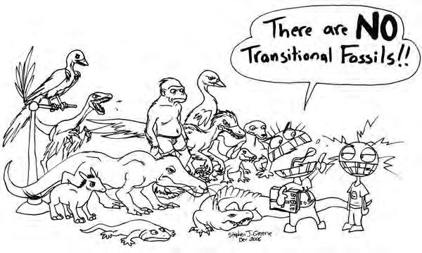 Transitional fossils: evidence for evolution http://domain- of- darwin.