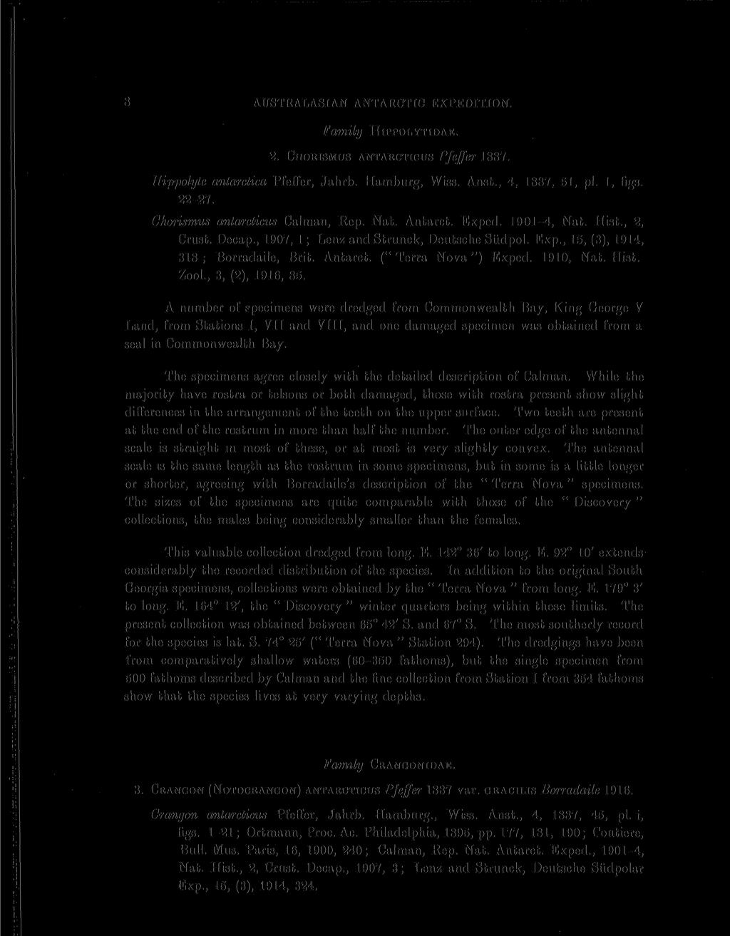 8 AUSTRALASIAN ANTARCTIC EXPEDITION. Family HIPPOLYTIDAE. 2. CHORISMUS ANTARCTICUS Pfeffer 1887. Hijypolyte antarctica Pfeffer, Jahrb. Hamburg, Wiss. Anst., 4, 1887. 51, pi. 1, figs. 22-27.