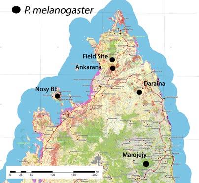 118 Figure 4. Map of northern Madagascar showing the localities where Pararhadinaea melanogaster (including the subspecies, P. melanogaster marojejyensis) have been recorded.