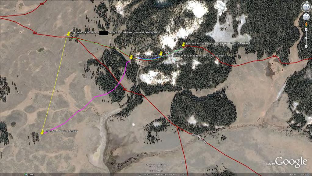 Figure 1. Overview of the fatality site showing approximate locations and movements.