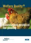 Measures Criteria Principles Injuries Animal based measures Welfare Quality assessment protocols Broiler feet
