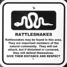 Other things threaten the survival of rattlesnakes. Rattlesnakes like to sun themselves on warm roads. Cars and trucks kill many of these snakes.