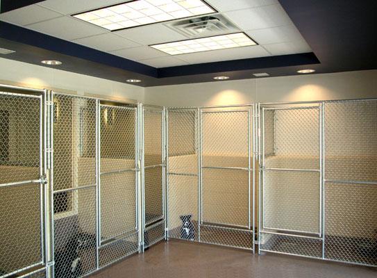 2. Cat Housing These cages have individual exhaust, the cats can be viewed from the public corridor through glass or from inside the cat room through the cage front 3.