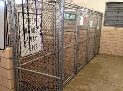 Quarantine kennels are not properly separated from the other animals.