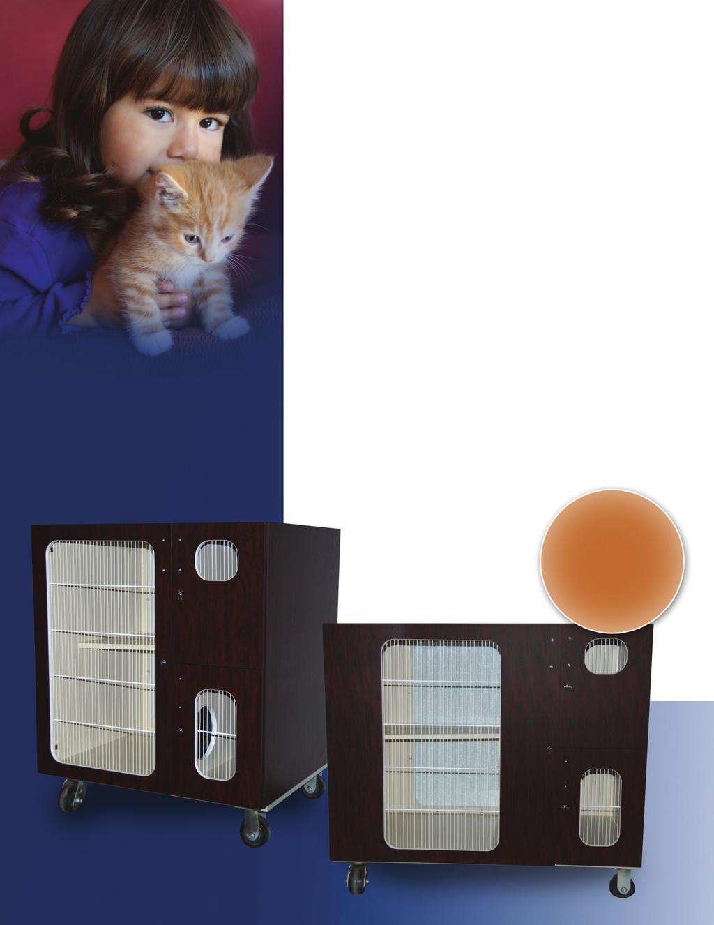 Shelter Cat Condos Mason Shelter Cat Condos are specifically designed for animal shelters based on the Association of Shelter Veterinarians guidelines for feline housing.