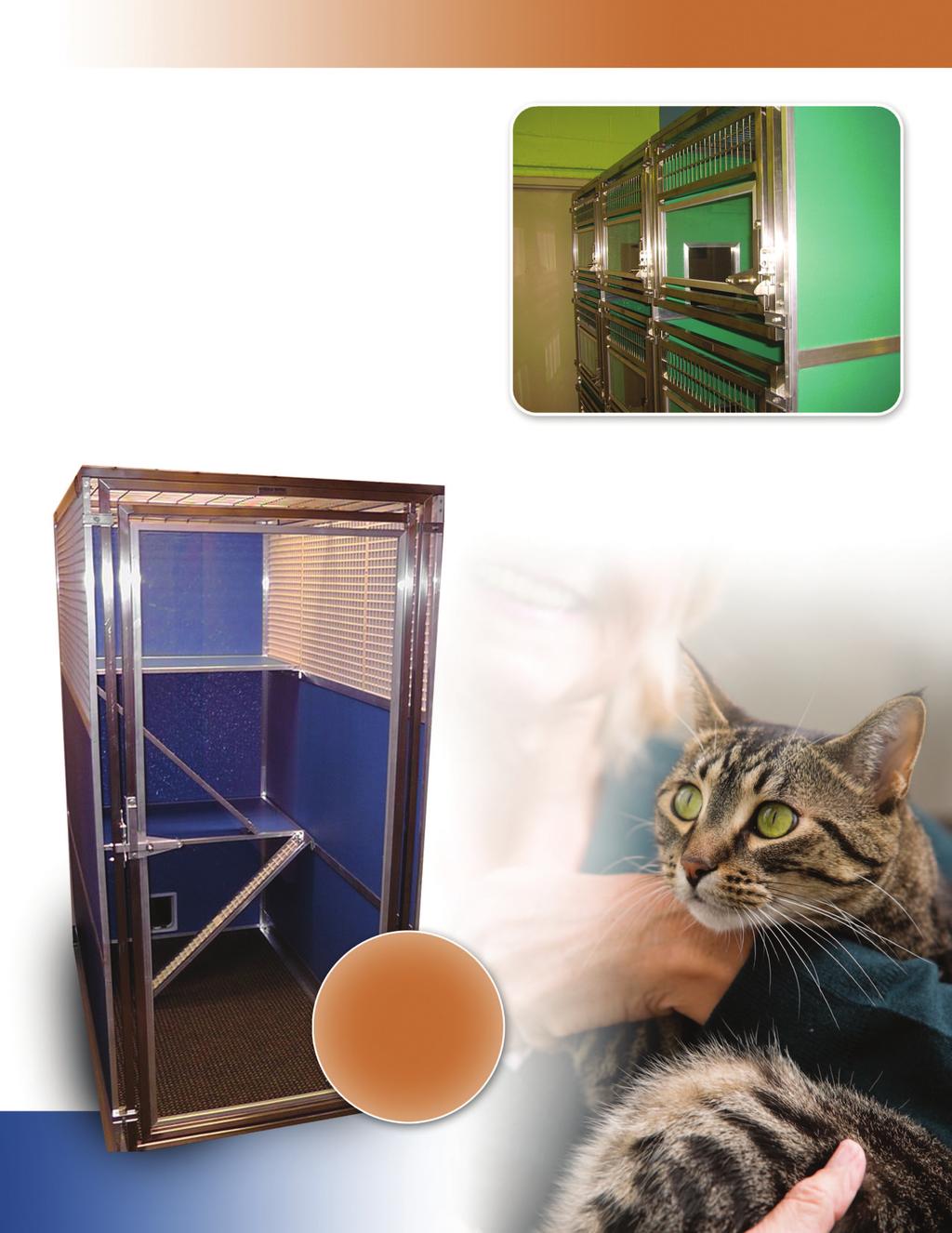 Custom Cat Runs Mason Company s cat runs are designed to allow maximum space and flexibility for your cat population.