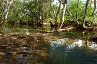 Creek, far northern Queensland; (lower left): rainforest, Henrietta Creek, Wet Tropics World Heritage Area, far northern Queensland; (lower right): gorge habitat in northern tropical savannahs,