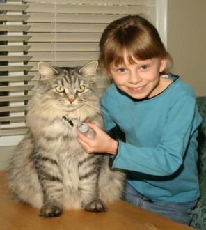 Licensing Program: Cats Cat licensing became mandatory 2007 January 1 $250 fine for an