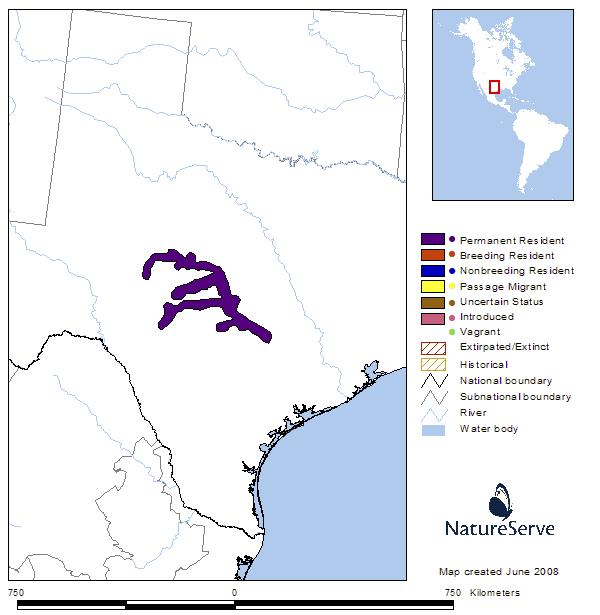 Alabama map turtle (G. pulchra) Texas map turtle (G.