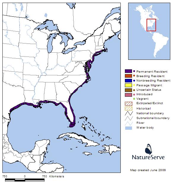 The coastline of Florida represents about 20 percent of the entire range (Butler et al. 2006).