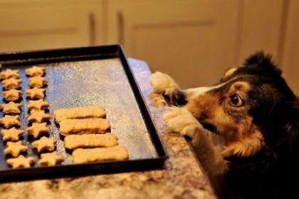 Peanut Butter Cookies Canines love peanut butter and these cookies are a great way to slip some fish oil into your pet's diet.