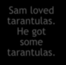 Sam thought the tarantula was fun.