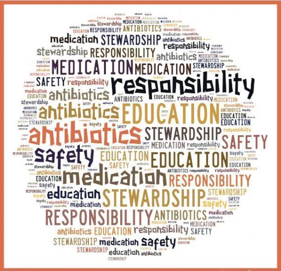 Antibiotic Stewardship is a Set of Commitments and Actions Designed to Optimize the Treatment of Infections while Reducing the Adverse Events Associated with Antibiotic Use.
