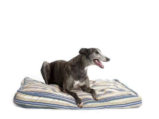 Also As a secondary benefit, if I want to go to a family BBQ, I can bring my dog s bed, and it gives him a place where he s trained to stay out of trouble.