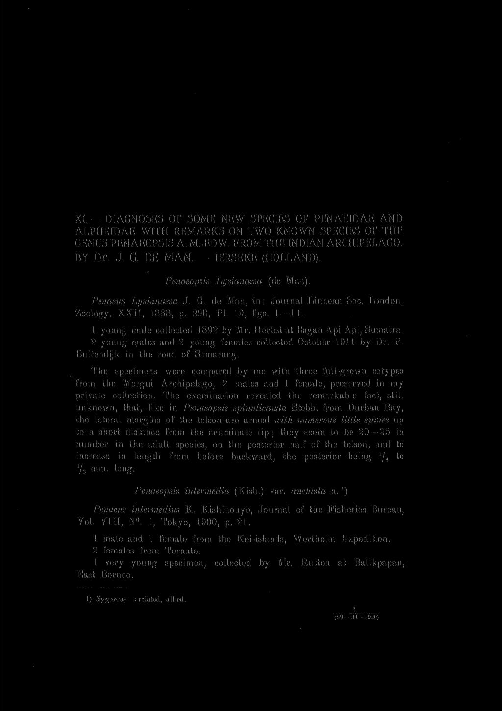 XI. DIAGNOSES OF SOME NEW SPECIES OF PENAEIDAE AND ALPHEIDAE WITH REMARKS ON TWO KNOWN SPECIES OF THE GENUS PENAEOPSIS A. M.-EDW. FROM THE INDIAN ARCHIPELAGO. BY Dr. J. G. DE MAN. - IERSEKE (HOLLAND).