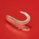 TRANSMISSION TO DOGS HOOKWORMS Ancylostoma braziliense Ancylostoma caninum Uncinaria stenocephala Hookworm larvae can be transmitted through: Ingestion of contaminated soil Larvae in soil that